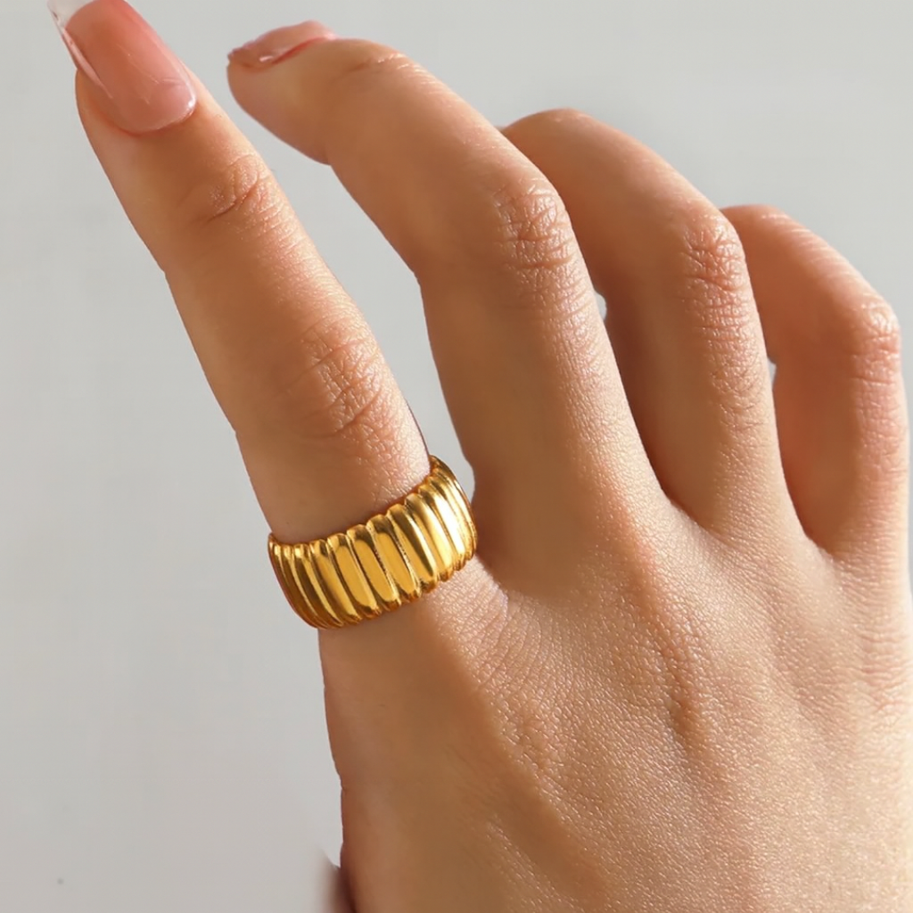 Anillo Lines