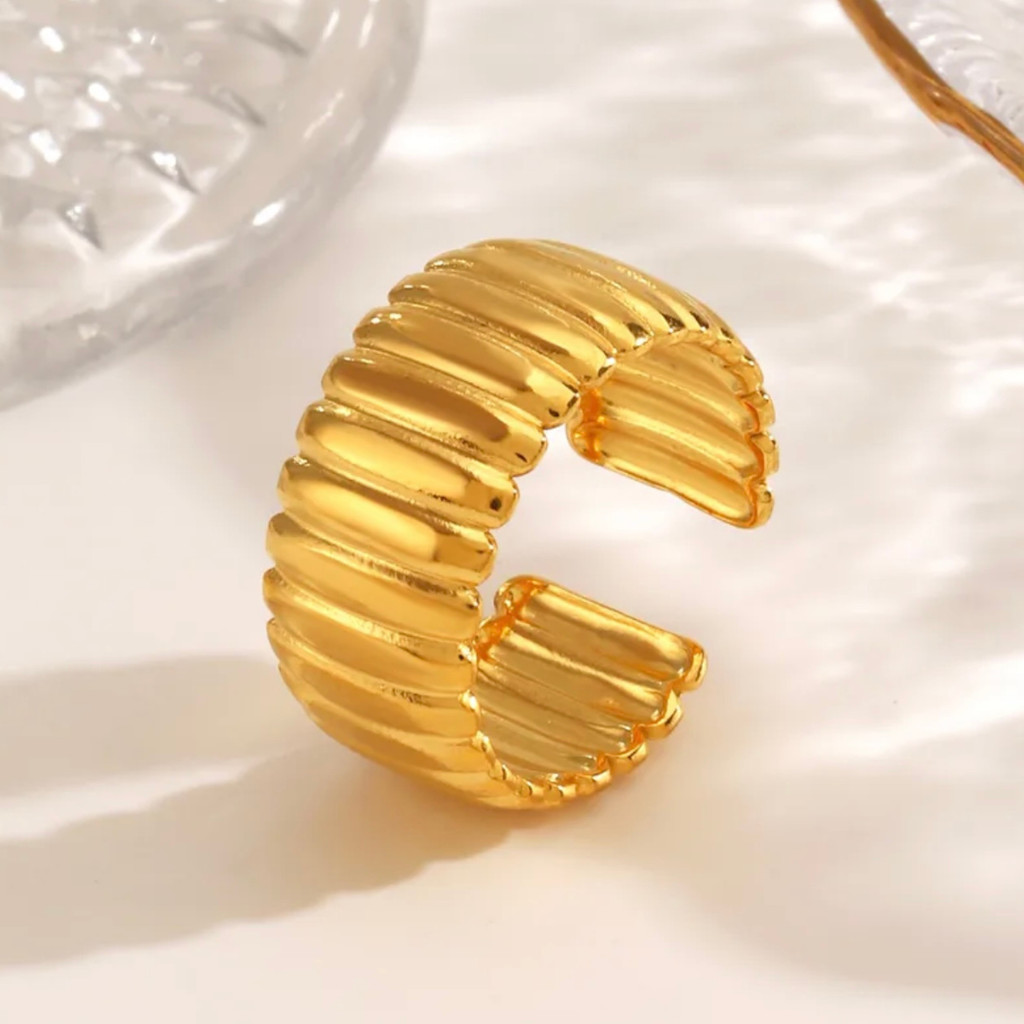 Anillo Lines