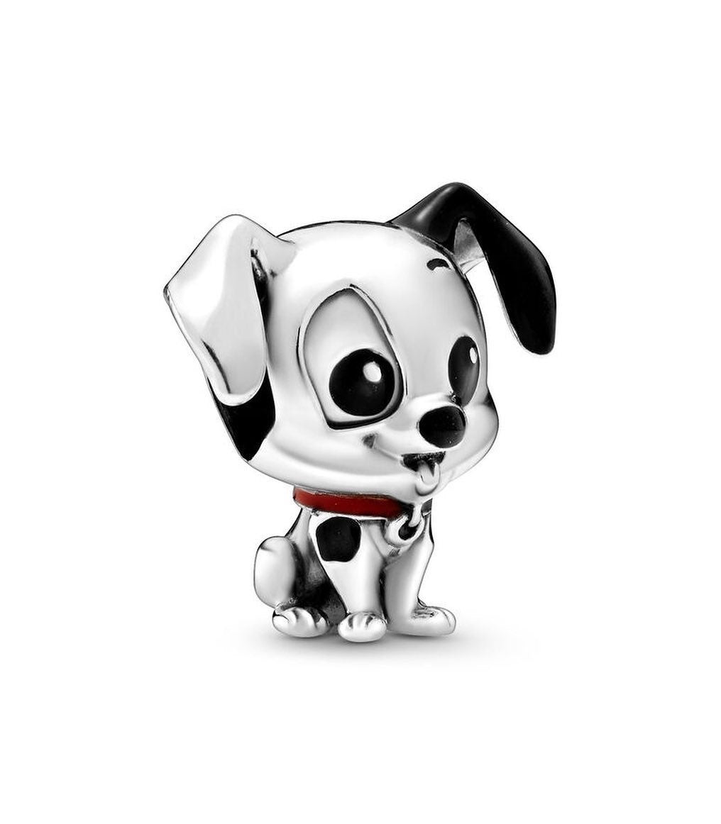 Charm Perro Dálmata